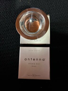 Two s Company Silver Plated Double Wall  Bowl with Modern Rounded Profile